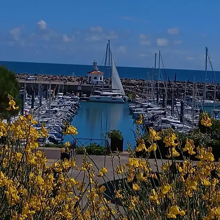 Le Goeland 2 Pieces Avec Terrasse, 2 Adultes, 1 Enfant, N'est Pas Adapte Pour Les Moins De 3 Ans Et De 12 Ans Lejlighed *